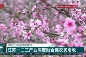 培育壮大新业态新模式，江苏一二三产业深度融合促农民增收视频封面