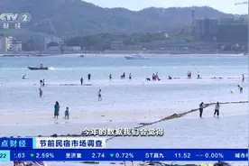 疫情之下逆水行舟！我国民宿房源总量突破300万套，毛利率有多高？图片
