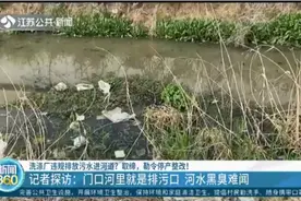 门口河里就是洗涤厂排污口，河水黑臭难闻？取缔、勒令停产整改！视频封面