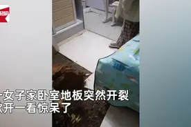 卧室地面突然开裂，女子掀开一看惊呆了：冒出“巨无霸”春笋图片