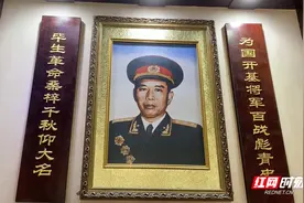 王震将军：对新疆饱含深情的湖南人｜Vlog·诗中那抹红图片