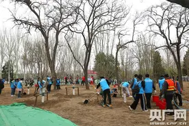 全民义务植树开展40周年 中国成为全球森林资源增长最多的国家图片
