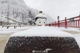 太白山春雪满空来，触处似花开图片