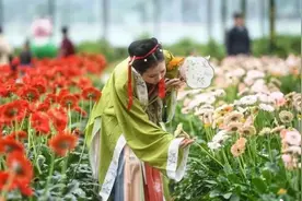 各地赏花正当时，“花花世界”哪家强？图片