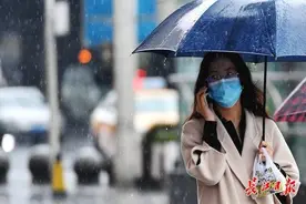 清明时节总是“雨纷纷”？最近30年，武汉有21年的清明节都下雨了图片