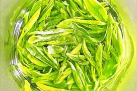 清明，到武汉城深处采茶！看到最后被种草了……图片