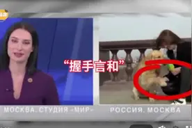 记者播报时被狗狗抢走话筒 现场突然上演追狗大战图片
