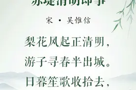 清明诗节丨微雨落清明，思念最绵长图片