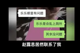 人美心善！赵露思联系网友，主动领养流浪狗图片