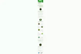 清明至，野菜鲜！但这样吃可能会中毒……图片