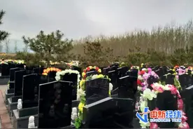 墓地9平米卖60万，上不封顶！网友直呼“死不起”图片