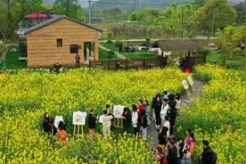西塞山前白鹭飞，桃花流水鳜鱼肥，在湖州妙西古镇寻访一千多年前的诗意田园图片