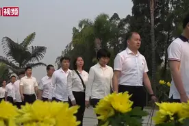 云南红河州清明上线“云祭祀”服务：网上祭扫、“代祭扫”视频封面