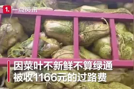 神评论｜夫妻是真爱，孩子是意外图片
