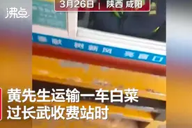 运17吨白菜过陕西咸阳某收费站被收1166元？知情工作人员：肉眼看的不新鲜图片