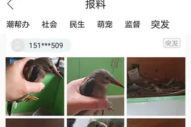 海宁女子家中橱柜里传来神秘响声！打开一看竟是这种动物图片