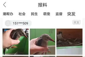 海宁女子家中橱柜里传来神秘响声！打开一看竟是这种动物图片