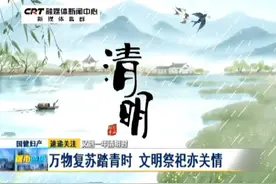 清明节：鲜花一束表心意，文明祭祀亦关情图片