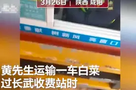 男子运17吨白菜被收1166元过路费？工作人员：肉眼看的不新鲜图片