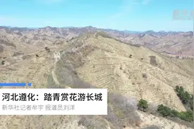 河北遵化：踏青赏花游长城视频封面