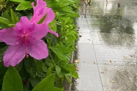 雨水返场，风力加大！“倒春寒”又来了吗？图片
