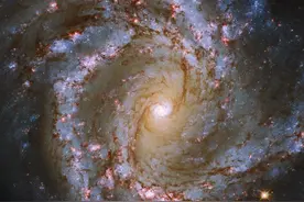 哈勃在M61星系观测到带有黑暗触须的“发光心脏”图片