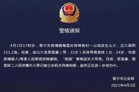广东突发数起山火，大多因清明祭祖引发，多人被刑拘图片