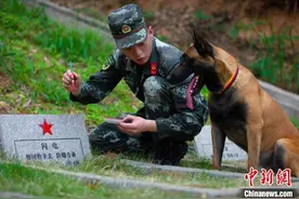 武警广西总队官兵清明时节祭扫功勋军犬图片