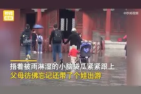 爸妈牵手游故宫，留萌娃自己推婴儿车！网友：父母是真爱孩子是意外图片