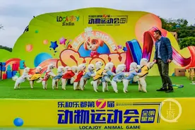 生命在于运动 乐和乐都动物运动会精彩呈现图片
