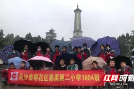 雨花区泰禹二小：清明寄哀思 献上自制小白花致敬革命烈士图片