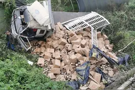 损失近20万，兰海高速一货车爆胎，4万只土碗散落一地图片