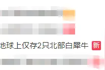 难过！这个珍稀物种，地球上只剩她俩了图片