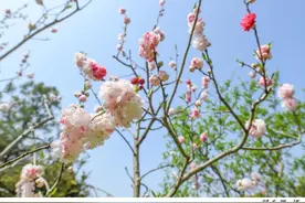 今天三月三，上巳节｜中国古代最浪漫的节日图片