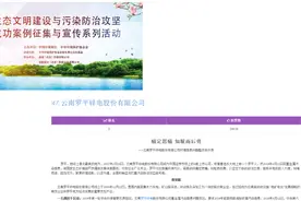 罗平锌电股份有限公司：痛定思痛 知耻而后勇 全面开展环保督察整改图片