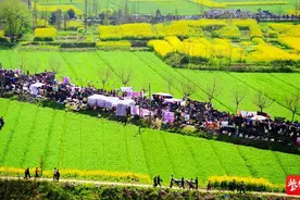 “清明节”后“黄明节”：长三角地区最为盛大的登山民俗活动，已入选镇江非遗图片