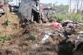 网传河南一独居老人住处遭“熊孩子”破坏 当地救助站：救助有流程 需去现场了解情况图片