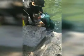 菏泽定陶籍军人趵突泉勇救落水老人 上岸后孩子抱着他猛亲了一口图片