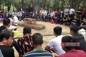 南宁一群人聚集在树林中斗鸟赌博，警方到场抓获55人图片