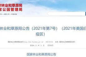 西安多地被列入“美国白蛾疫区”，官方曾高价通缉！还有一种虫子正在逼近秦岭图片