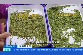 西湖龙井市场调查：一斤最高卖3万多元，同一产地价格差1倍图片
