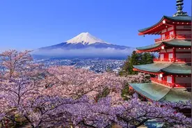 日本现千年来最早樱花季 美好景象背后掩藏怎样的危机？图片
