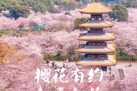 “解封”一周年 共赴武汉之约图片