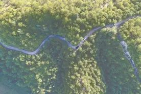 探索天然林保护新路，福建“不砍树也致富”图片