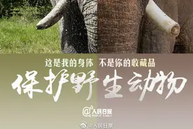 今天世界动物日，请为它们发条微博图片