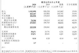 东软教育（9616.HK）：数字化教育服务核心龙头，一体两翼战略成效显著图片
