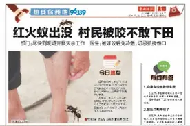 紧急提醒 小心这只“红火蚁”图片