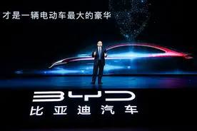 比亚迪宣布纯电车型全系切换刀片电池，并一口气上市了这四款新车图片