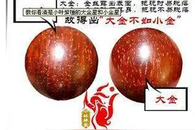 教你识“珠”：生于贫瘠之地，养分供给不足，形成小叶紫檀“小金星”图片