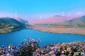 美！贵州乌蒙大草原万亩杜鹃花绽放 迎来最佳观赏期图片